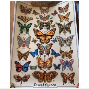 Dead & Company Summer Tour 2019 Butterfly Poster